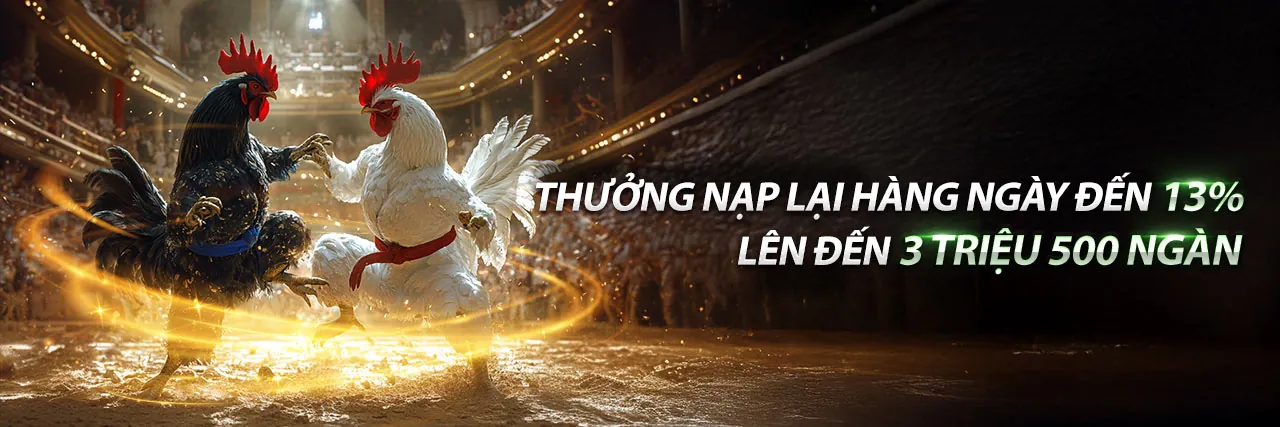 Hình ảnh giới thiệu nền tảng cá cược C54777
